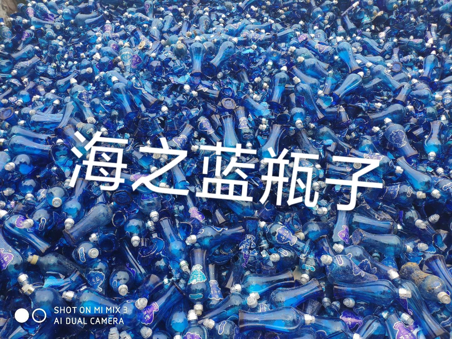 溧阳海之蓝瓶回收